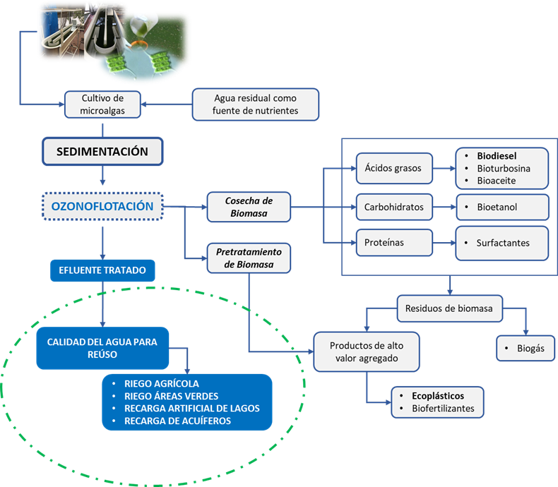 Figura 2. Procesamiento del cultivo y producción de biomasa microlagal para la obtención de productos de valor agregado como los ecoplásticos y el biodiesel